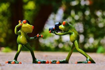 Frogs with headphones and camera